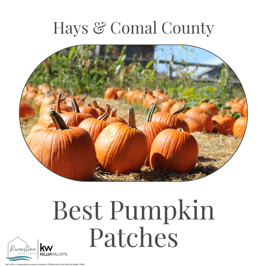 Best Pumpkin Patches Riverstone Realty Group